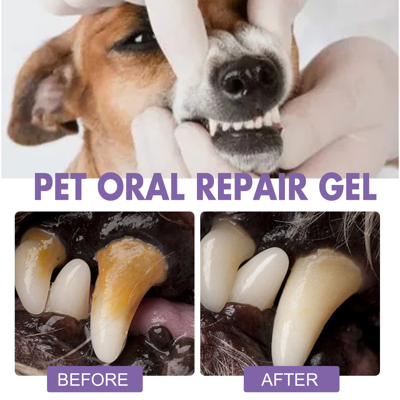 Pet Oral Repair Gel Puppy Tart - огляд і ціна Teeth Whitening Near Me